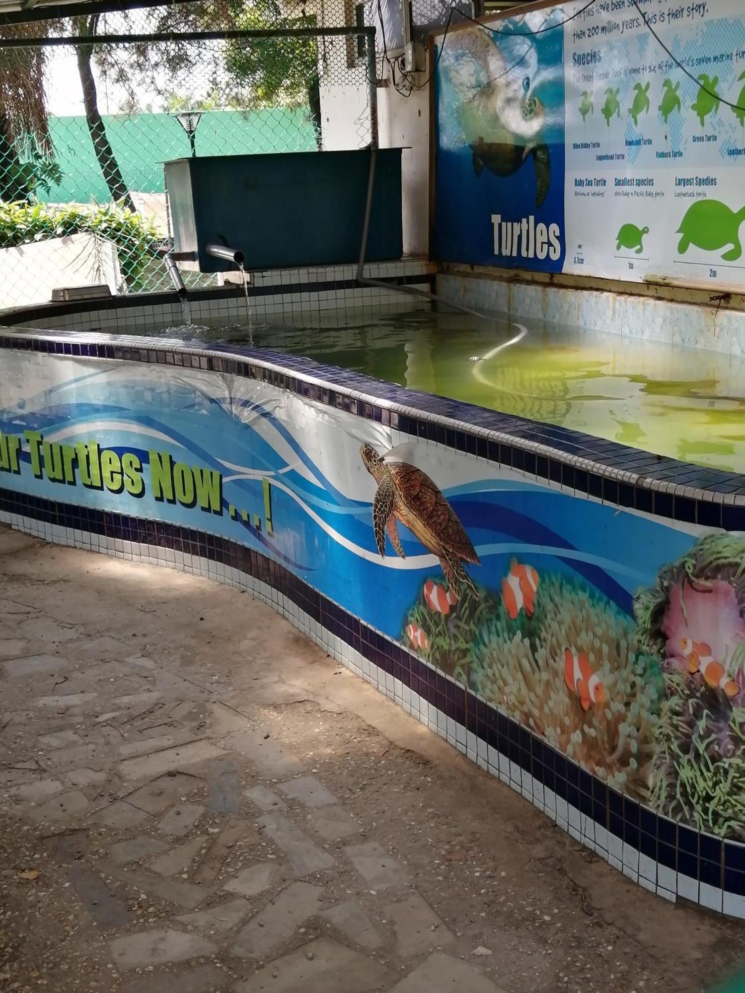 Apartment At Glory Beach Resort Port Dickson Phòng bức ảnh